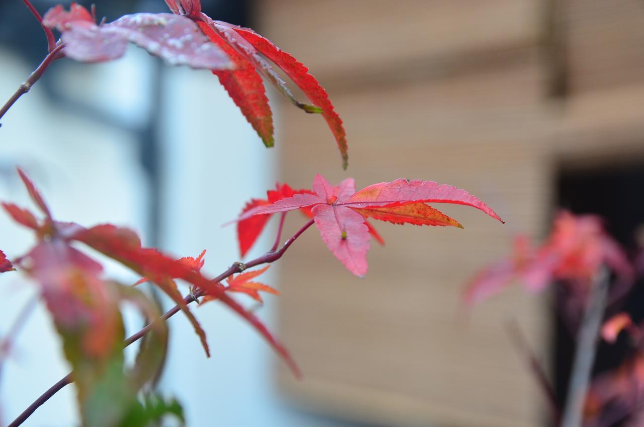 Miyabi Cosy House Hotel Kyoto Buitenkant foto